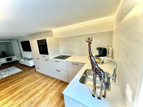 Thunersee Retreat Thun